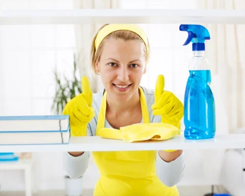 cleaner domestic